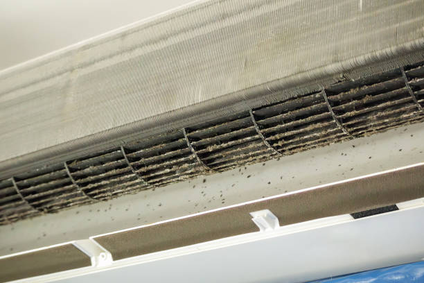 Best Emergency Air Duct Cleaning Services in Arcadia, SC